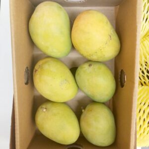 Alphonso Mango box