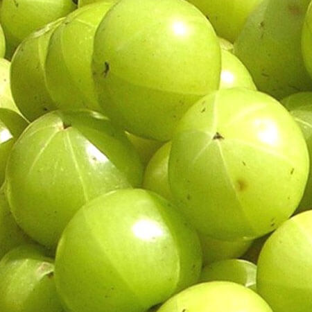 Indian Gooseberry/Amla / Nellikkai - cambridgespices.co.uk