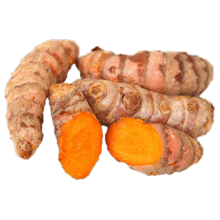 Fresh Turmeric