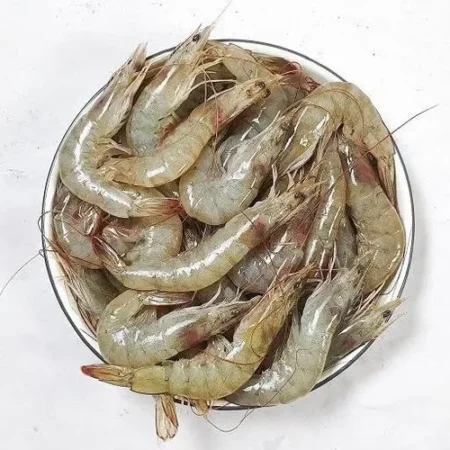 Fresh Prawns