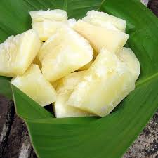 Cassava cuts