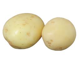 White potato