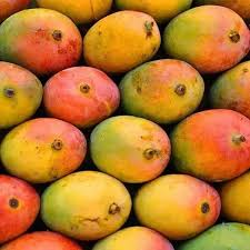 Senthooram Mangoes